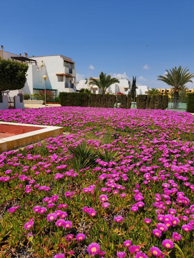 Duplex Espectacular En Primera Linea Naturista! Las Bombardas Εξωτερικό φωτογραφία