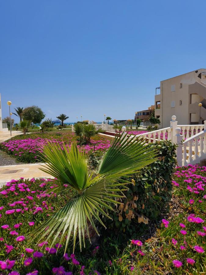 Duplex Espectacular En Primera Linea Naturista! Las Bombardas Εξωτερικό φωτογραφία